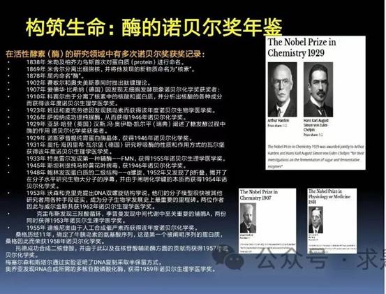 clip_image022.jpg 圖片