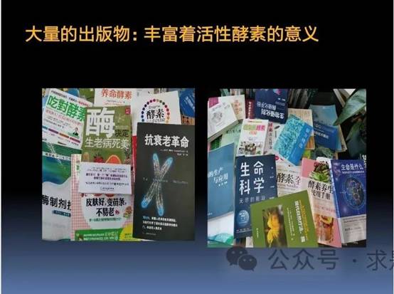 clip_image026.jpg 圖片