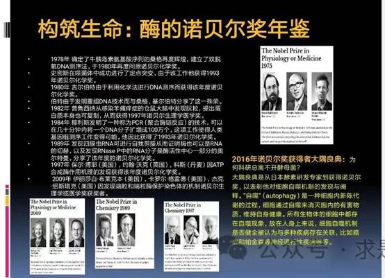 clip_image024.jpg 圖片