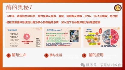 圖片39.jpg 圖片39.jpg