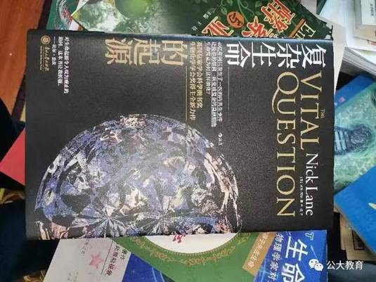 clip_image002.jpg IMG_256