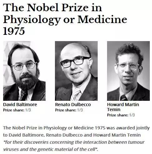 clip_image013.jpg 圖片