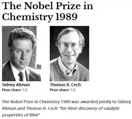 clip_image014.jpg 圖片